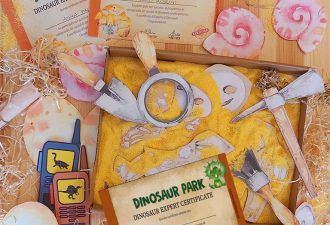 Gioco party dinosauri bambini 2-6 anni kit
